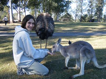 Vicky feeding a kangaroo
