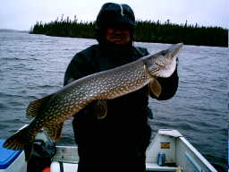 Norval with my 36 pike